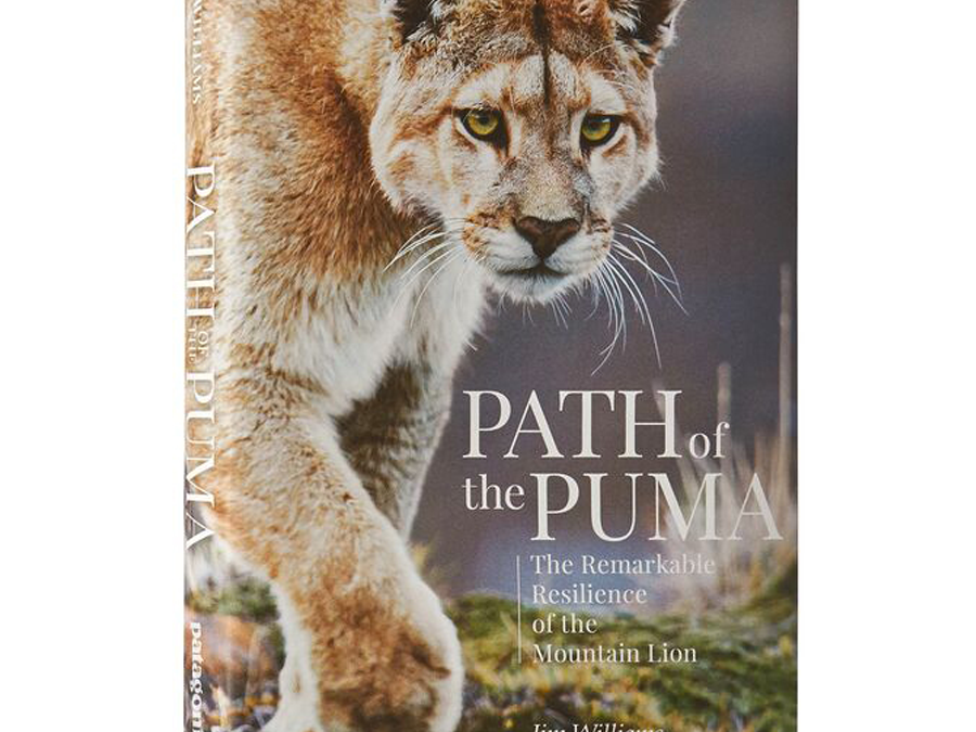 Path of the Puma